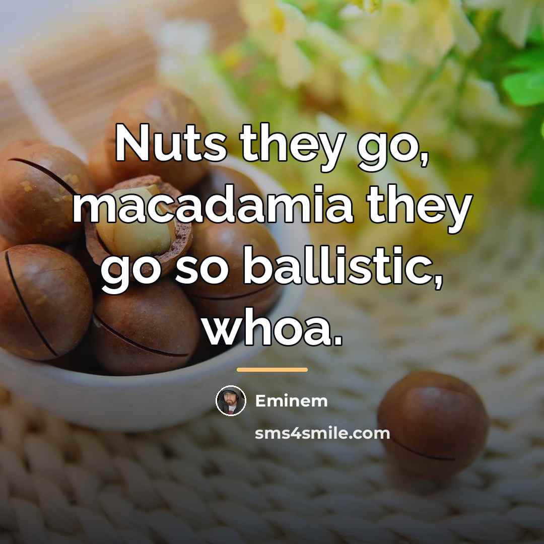 “Nuts they go, macadamia they go so ballistic, whoa.…” quote by Eminem