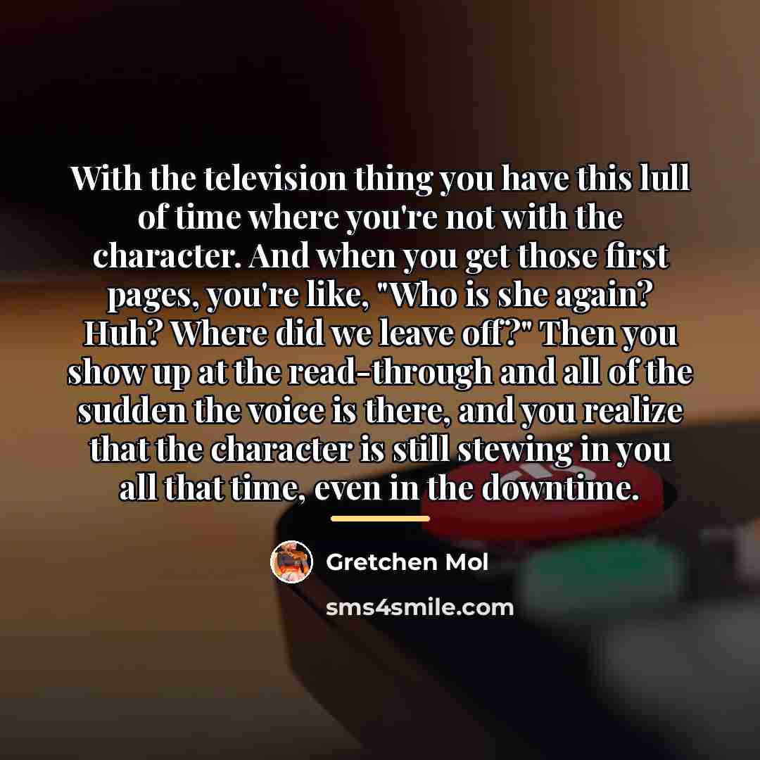 “With the television thing you have this lull of time…” quote by Gretchen Mol