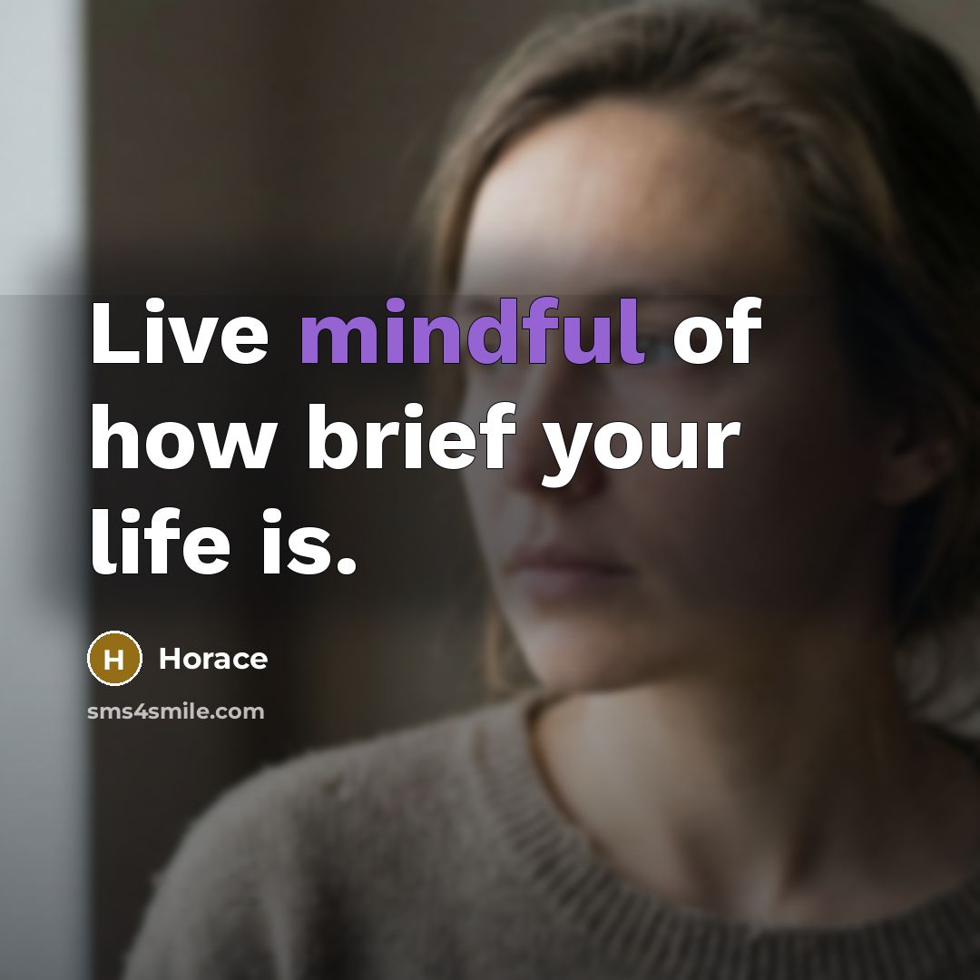 “Live mindful of how brief your life is.…” quote by Horace