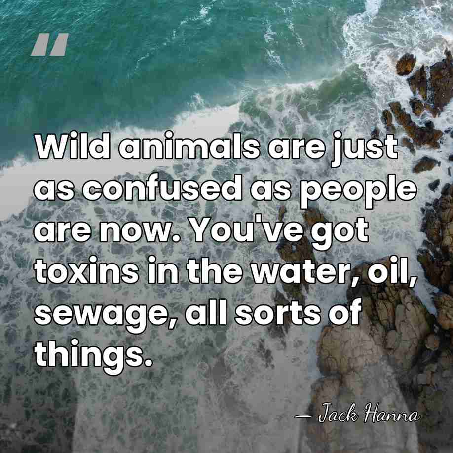 Wild animals are just as confused as people are now. You've got&hellip; - Jack Hanna