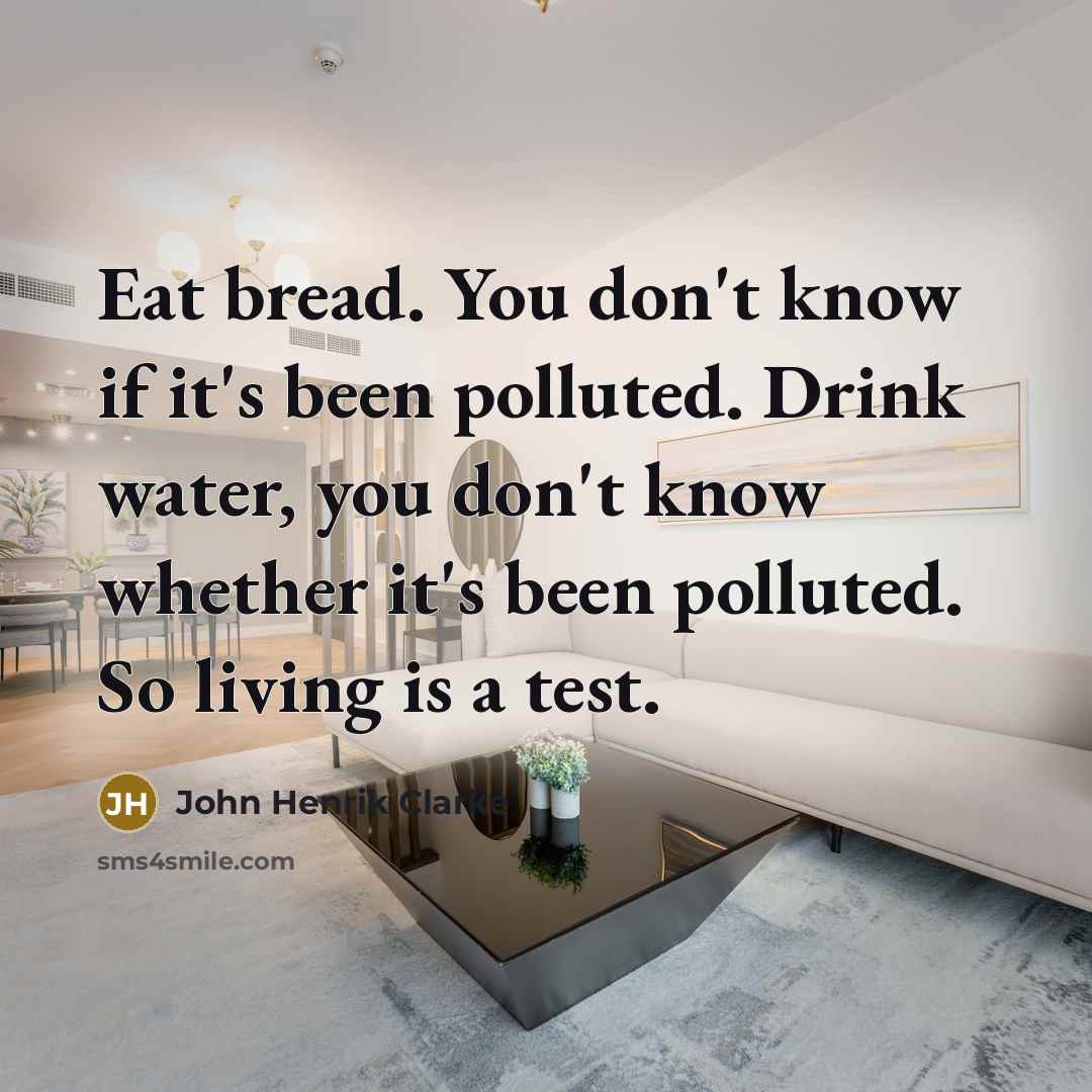 “Eat bread. You don't know if it's been polluted. Drink…” quote by John Henrik Clarke