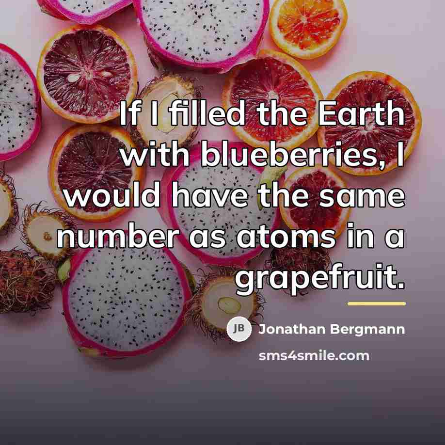 “If I filled the Earth with blueberries, I would have…” quote by Jonathan Bergmann