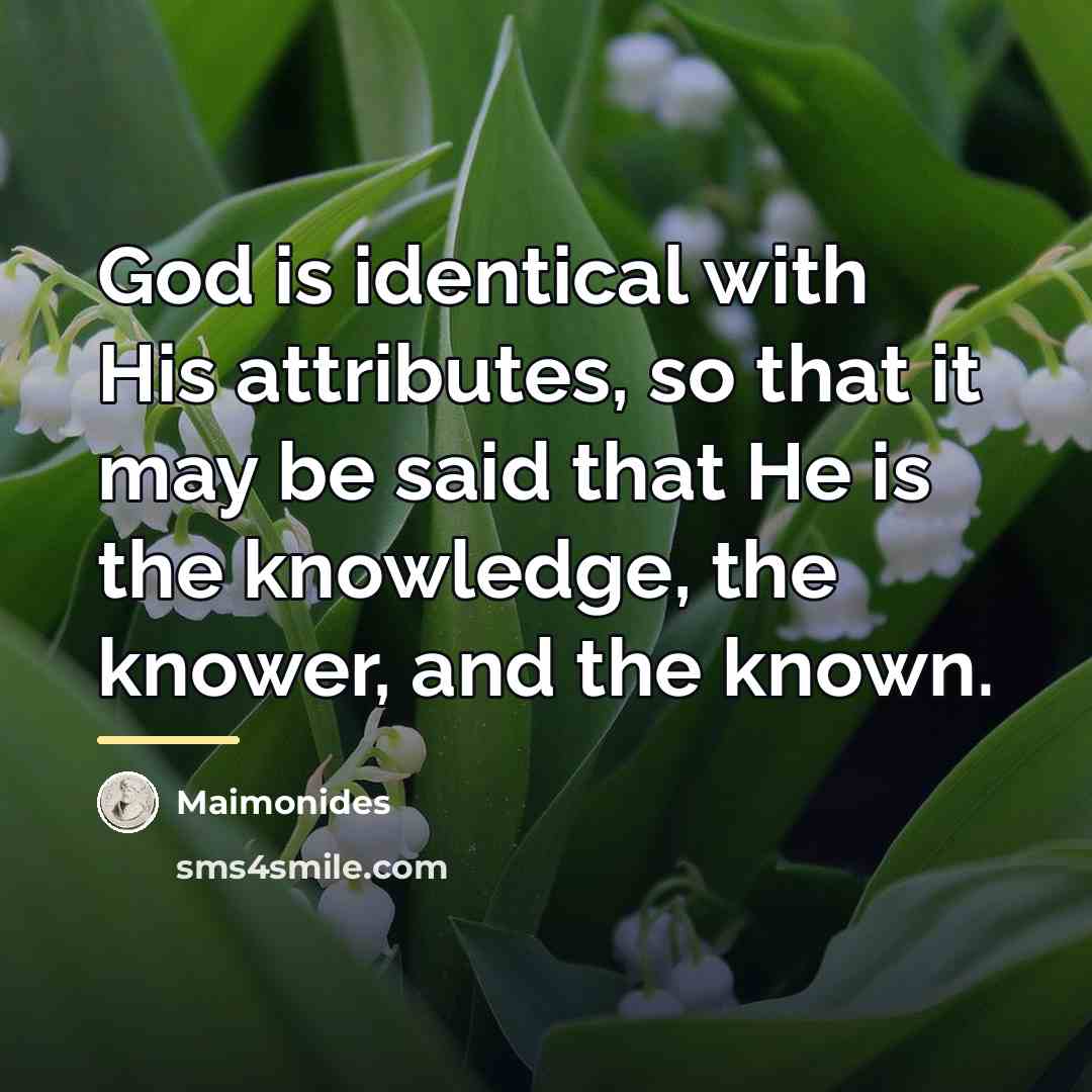 “God is identical with His attributes, so that it may…” quote by Maimonides