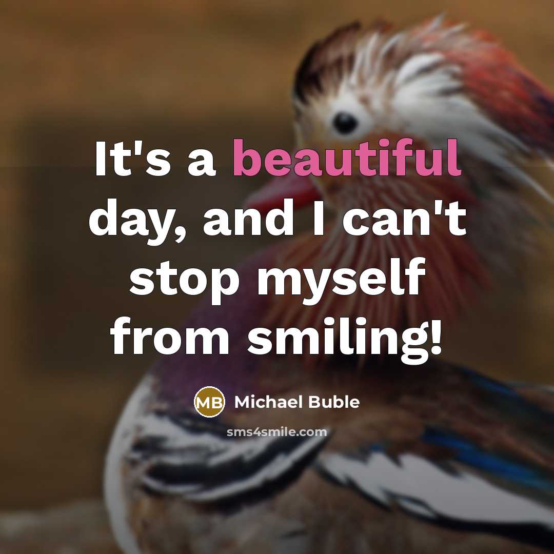 “It's a beautiful day, and I can't stop myself from…” quote by Michael Buble