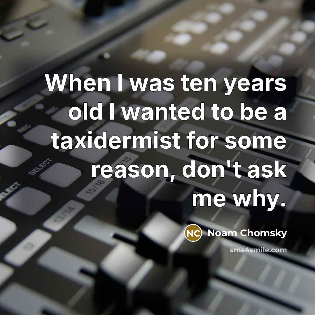 “When I was ten years old I wanted to be…” quote by Noam Chomsky