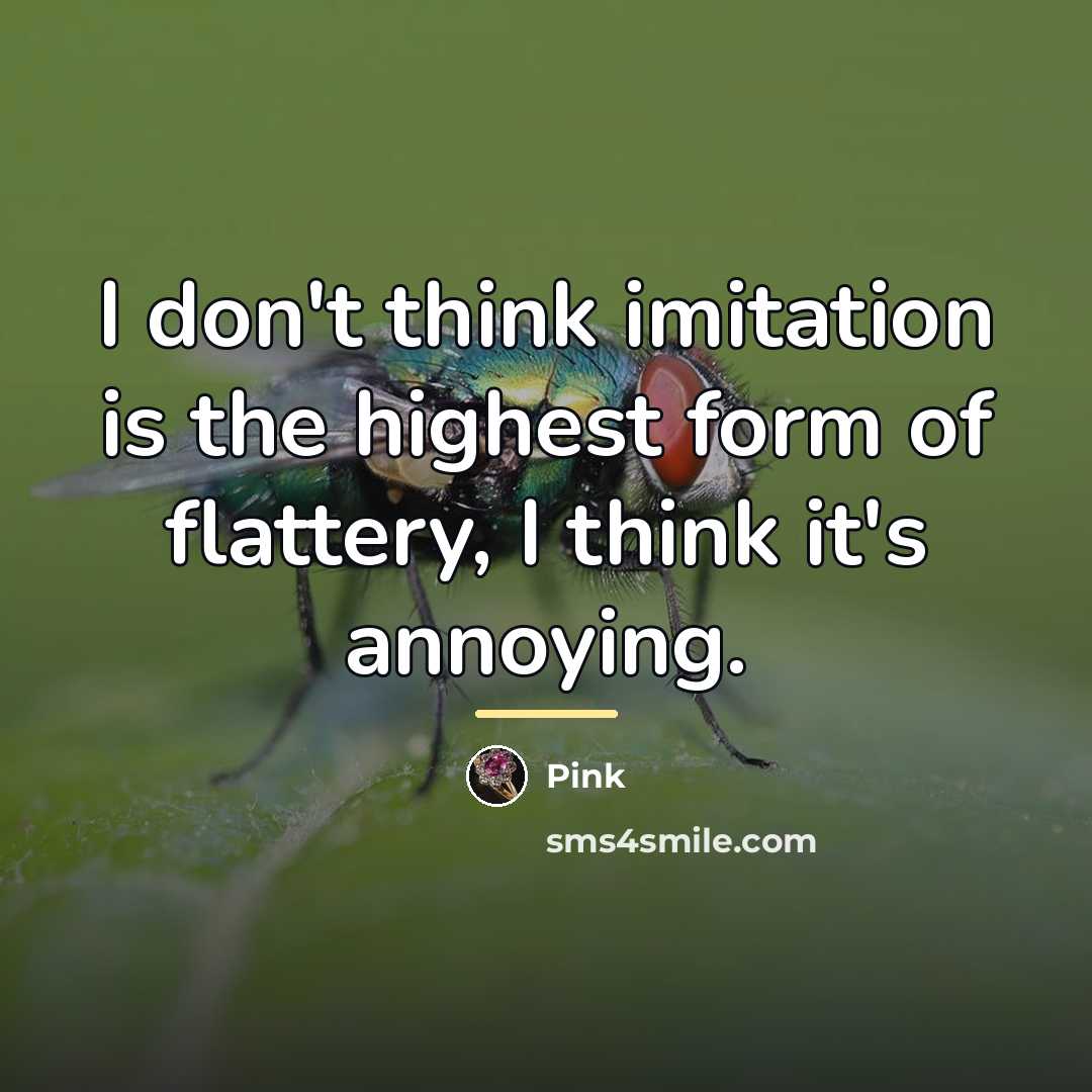 “I don't think imitation is the highest form of flattery,…” quote by Pink