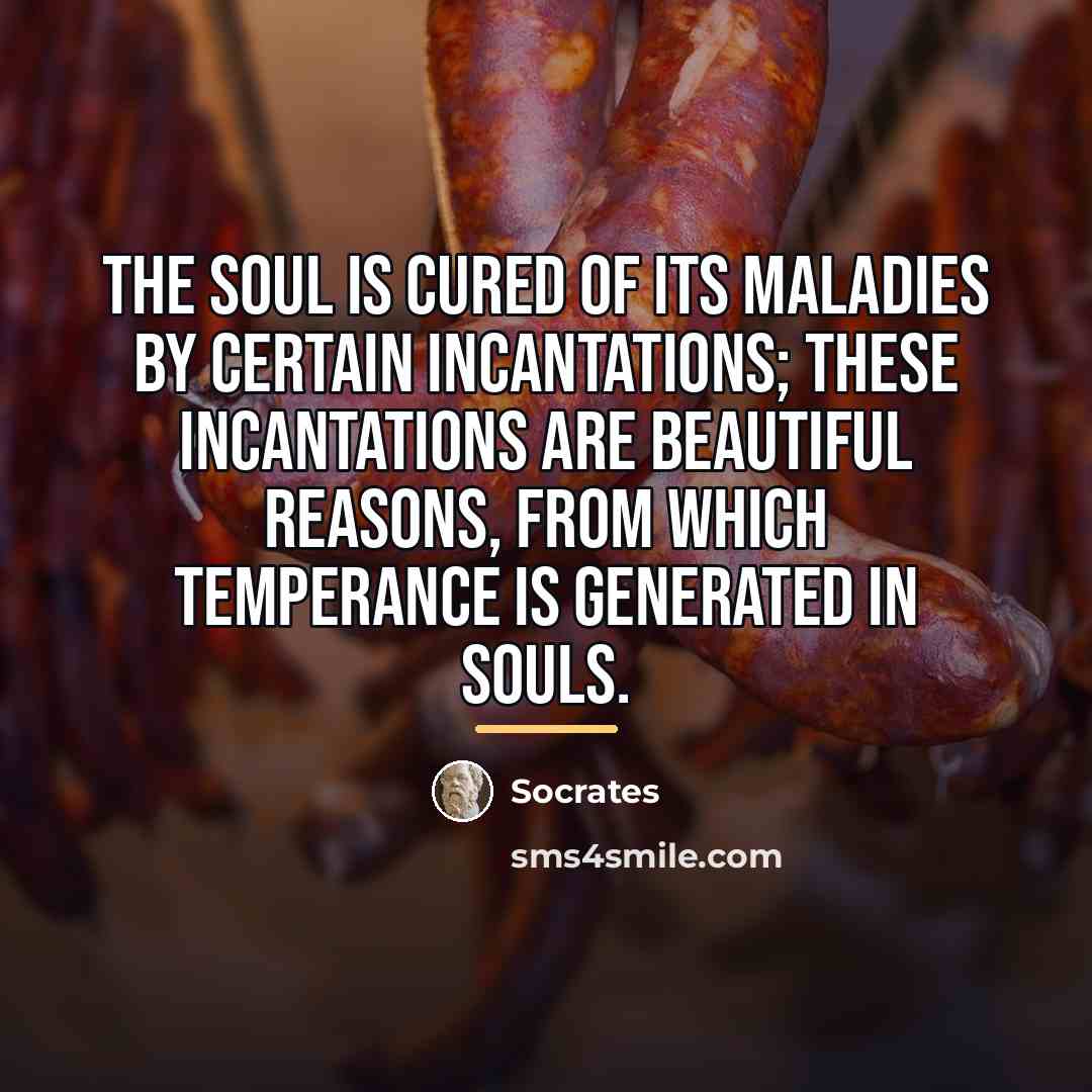 “The soul is cured of its maladies by certain incantations;…” quote by Socrates