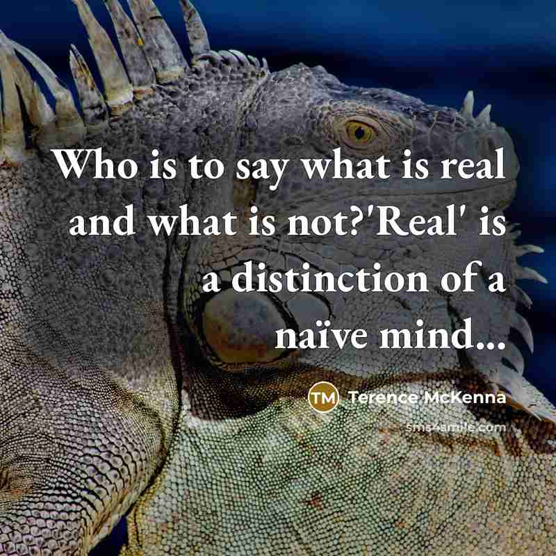 “Who is to say what is real and what is…” quote by Terence McKenna