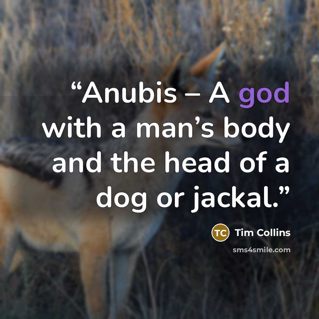 “Anubis – A god with a man’s body and the head of a dog or jackal.” quote by Tim Collins