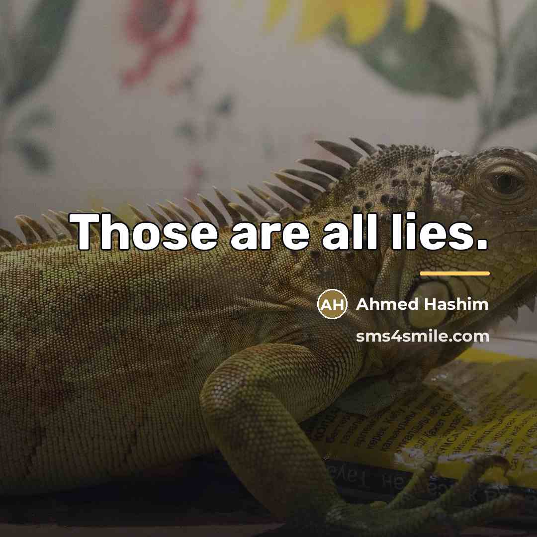 “Those are all lies.…” quote by Ahmed Hashim