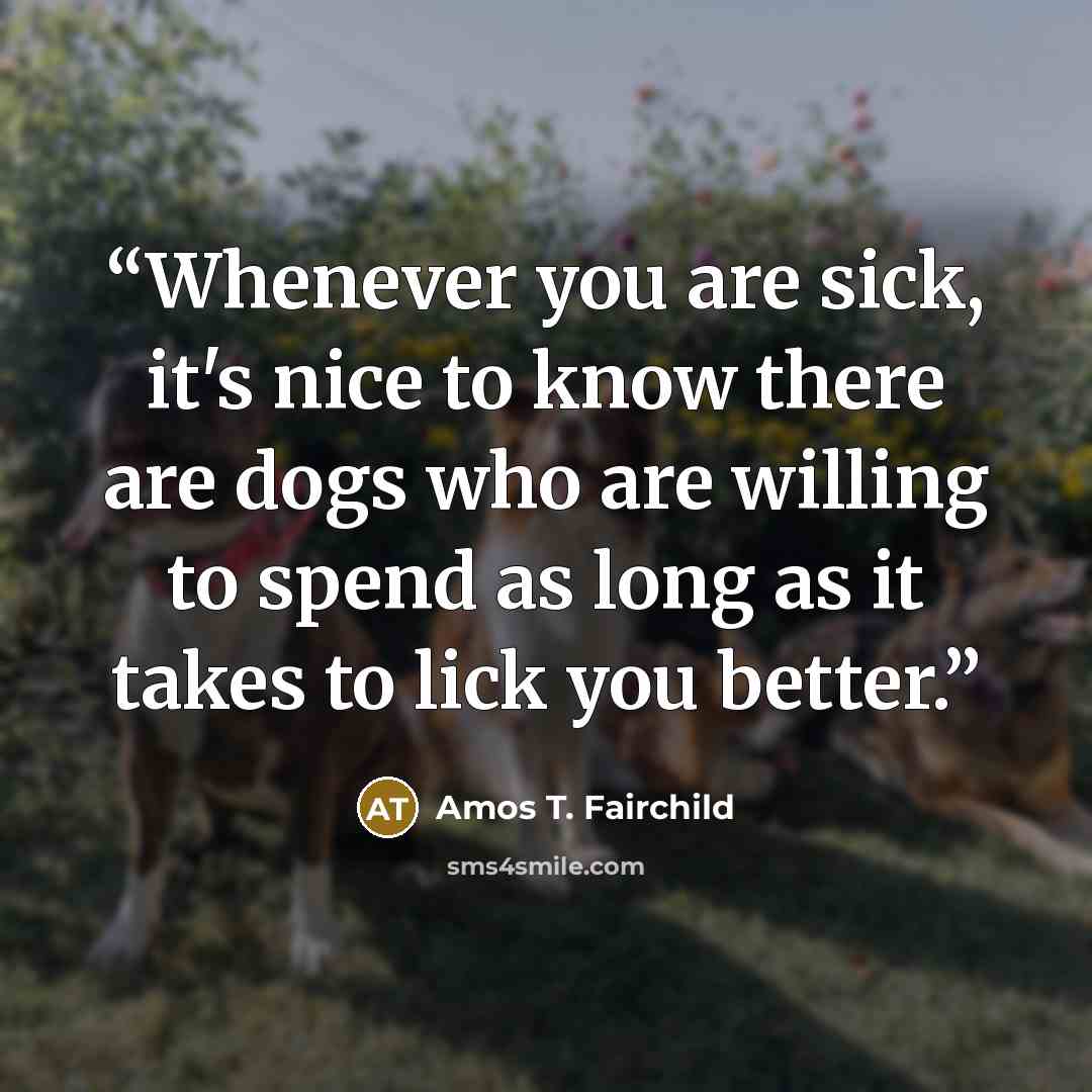 “Whenever you are sick, it's nice to know there are dogs who are willing to spend as long as it takes to lick you better.” quote by Amos T. Fairchild