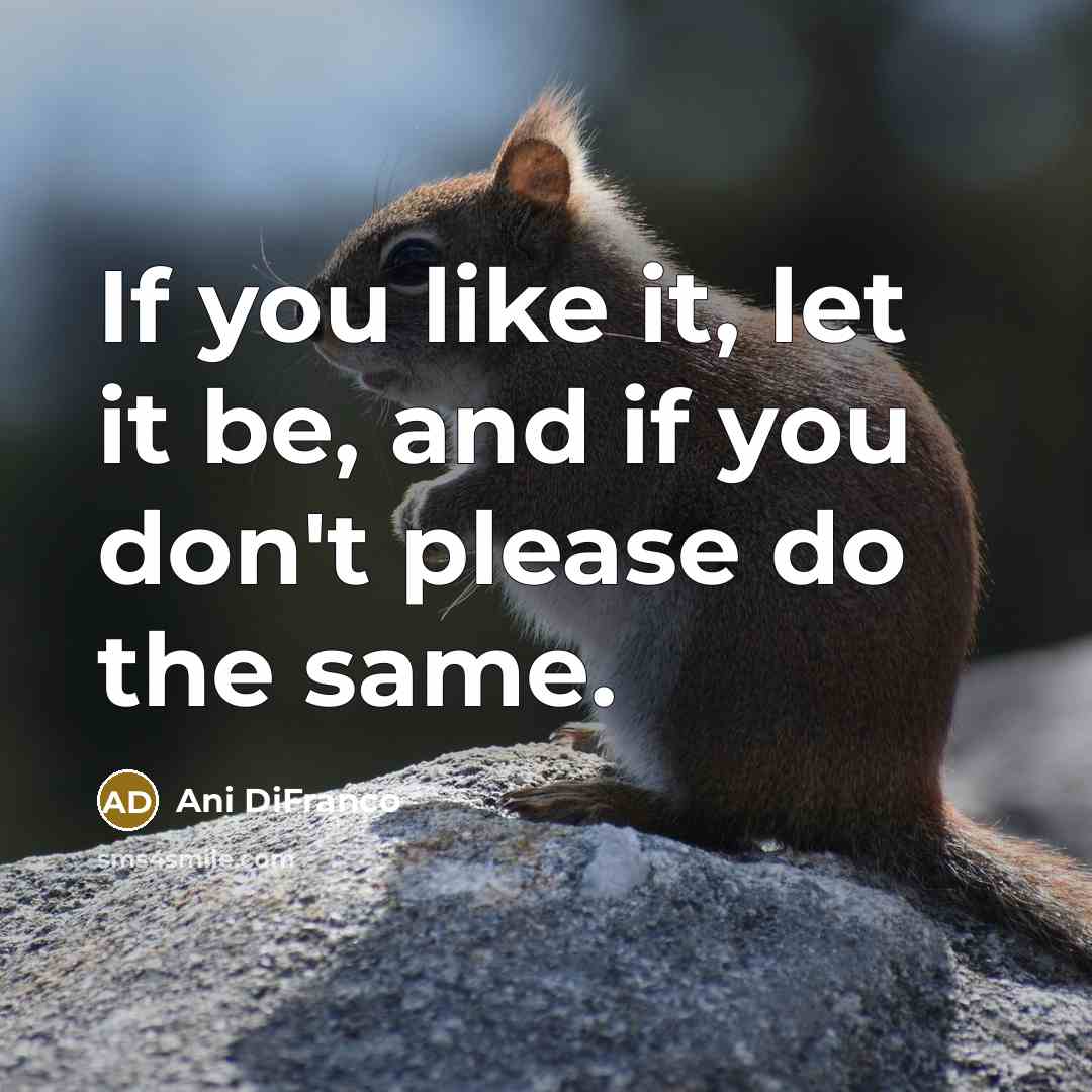 “If you like it, let it be, and if you don't please do the same.” quote by Ani DiFranco