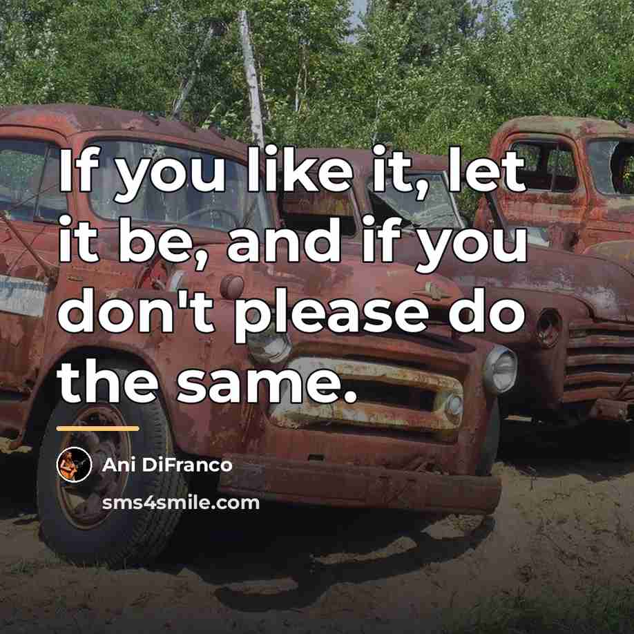“If you like it, let it be, and if you…” quote by Ani DiFranco