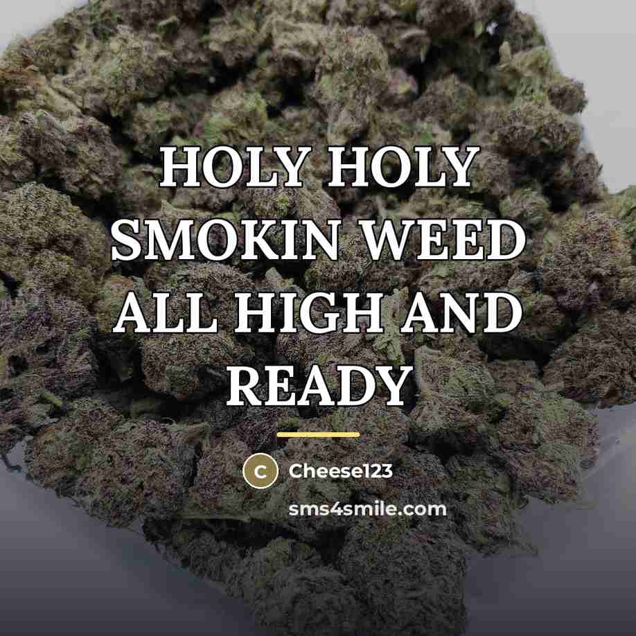 “HOLY HOLY SMOKIN WEED ALL HIGH AND READY…” quote by Cheese123