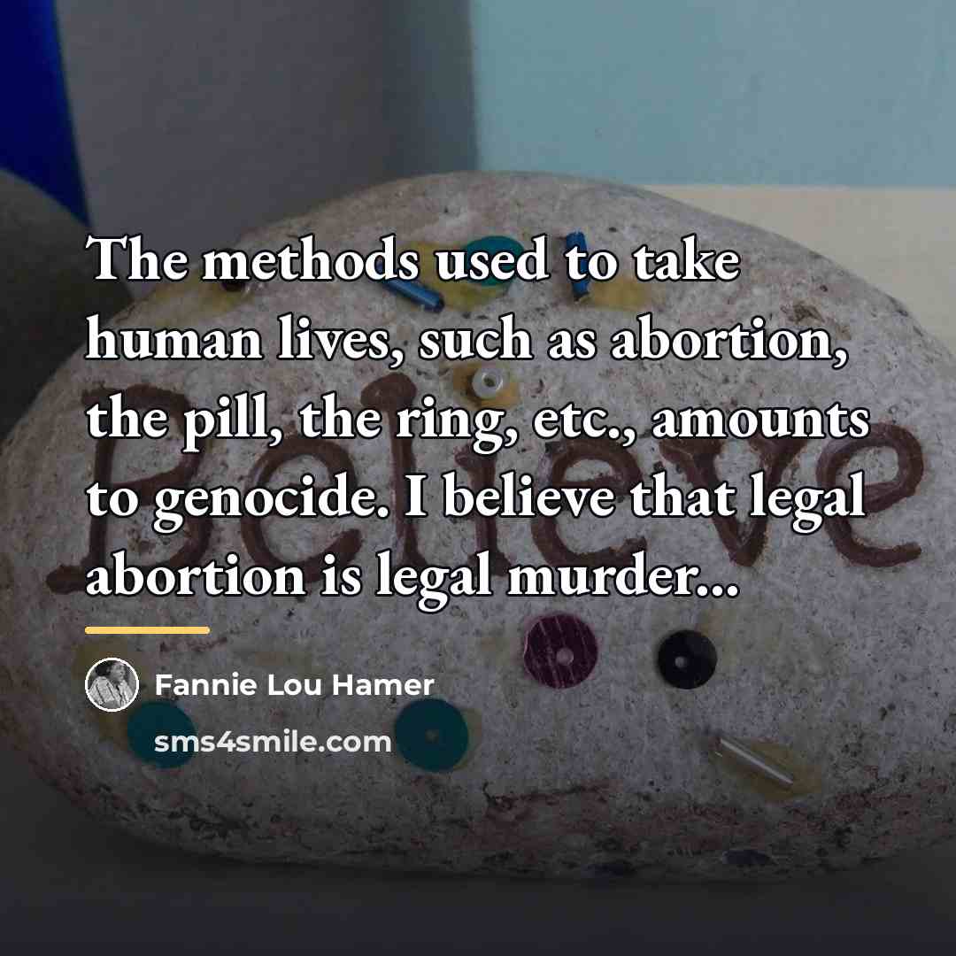 “The methods used to take human lives, such as abortion,…” quote by Fannie Lou Hamer