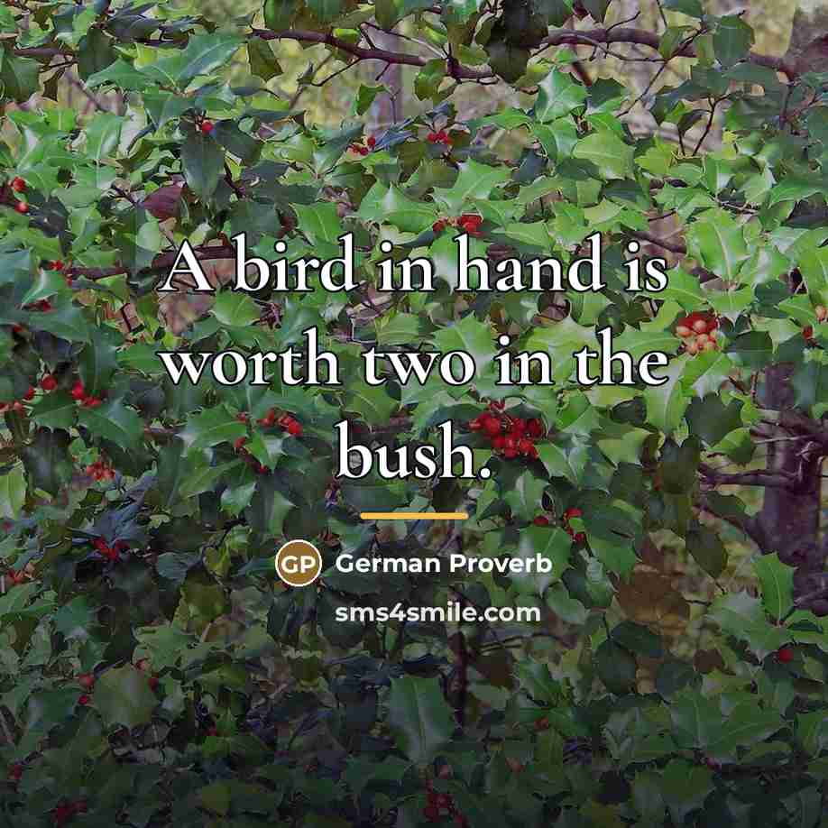 “A bird in hand is worth two in the bush.…” quote by German Proverb