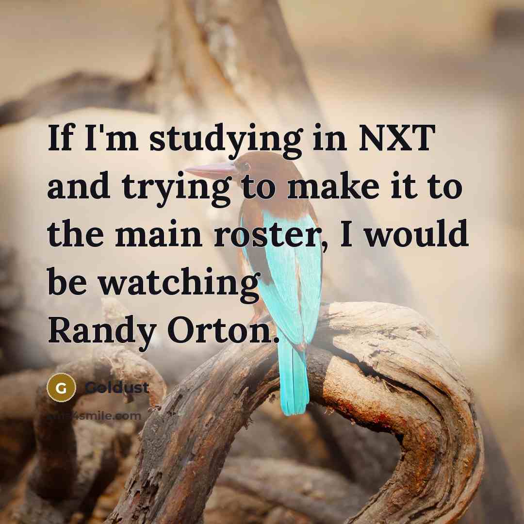 “If I'm studying in NXT and trying to make it…” quote by Goldust