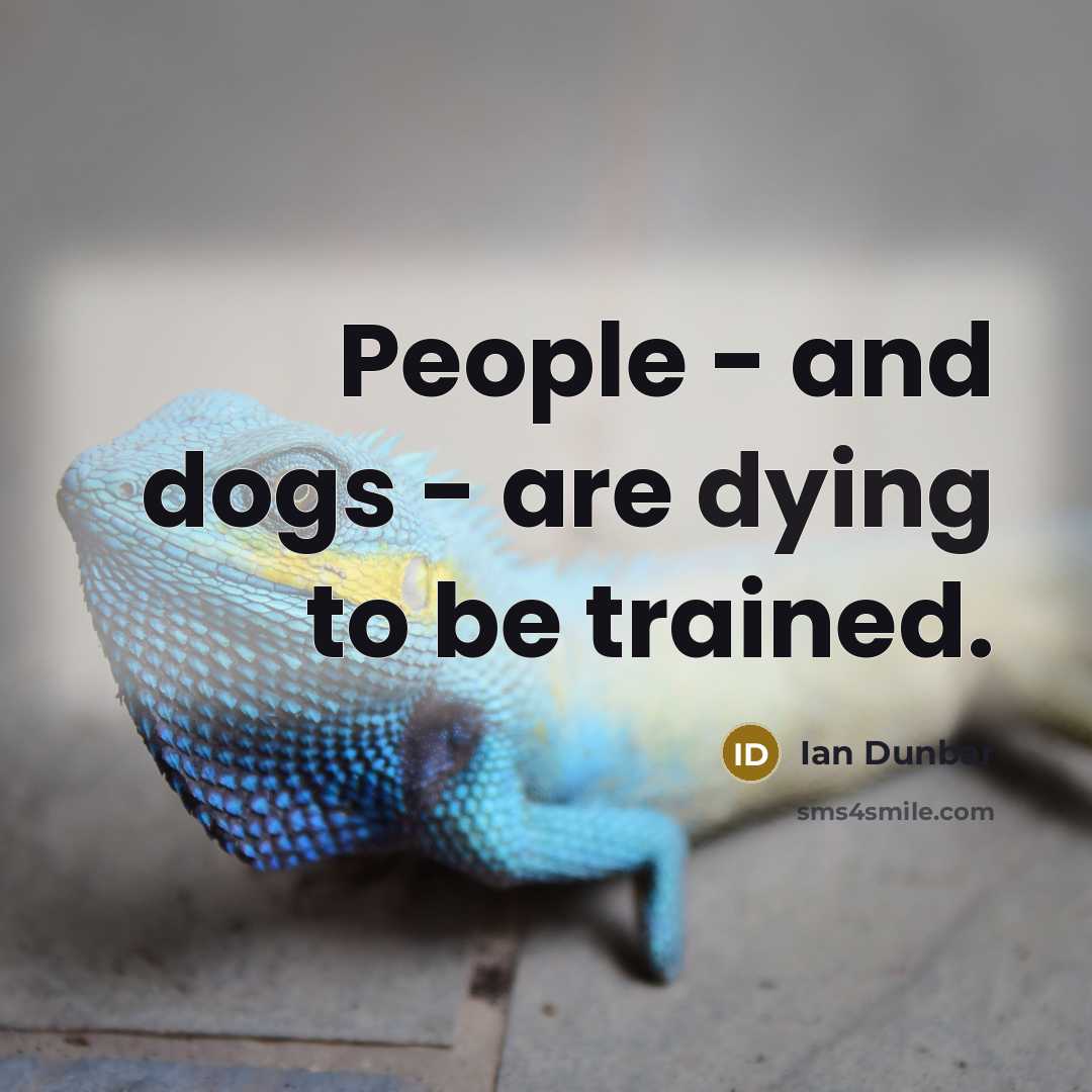 “People - and dogs - are dying to be trained.” quote by Ian Dunbar