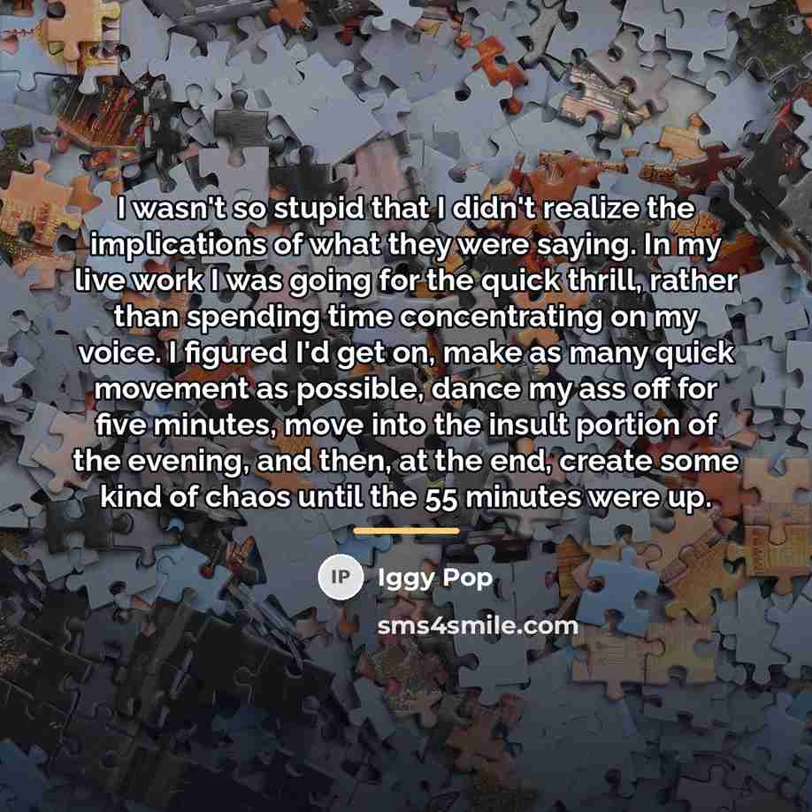 “I wasn't so stupid that I didn't realize the implications…” quote by Iggy Pop