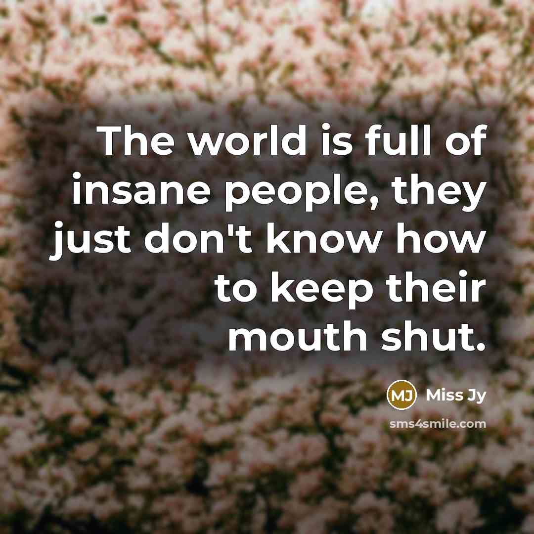 “The world is full of insane people, they just don't know how to keep their mouth shut.” quote by Miss Jy