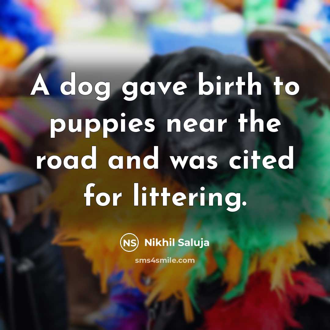 “A dog gave birth to puppies near the road and…” quote by Nikhil Saluja
