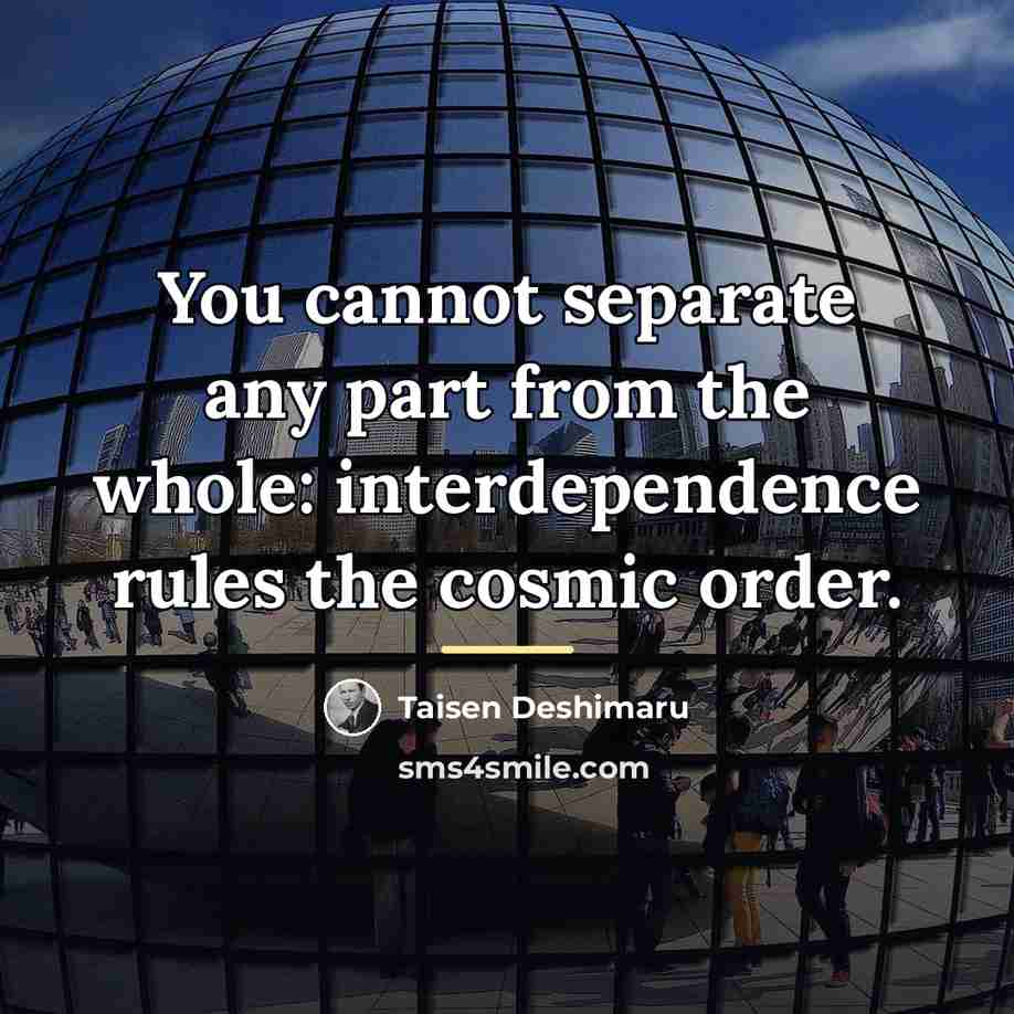 “You cannot separate any part from the whole: interdependence rules…” quote by Taisen Deshimaru