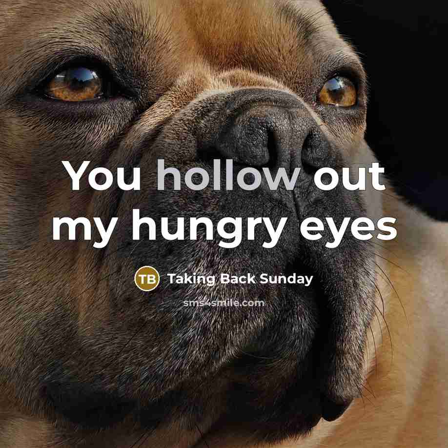 “You hollow out my hungry eyes” quote by Taking Back Sunday