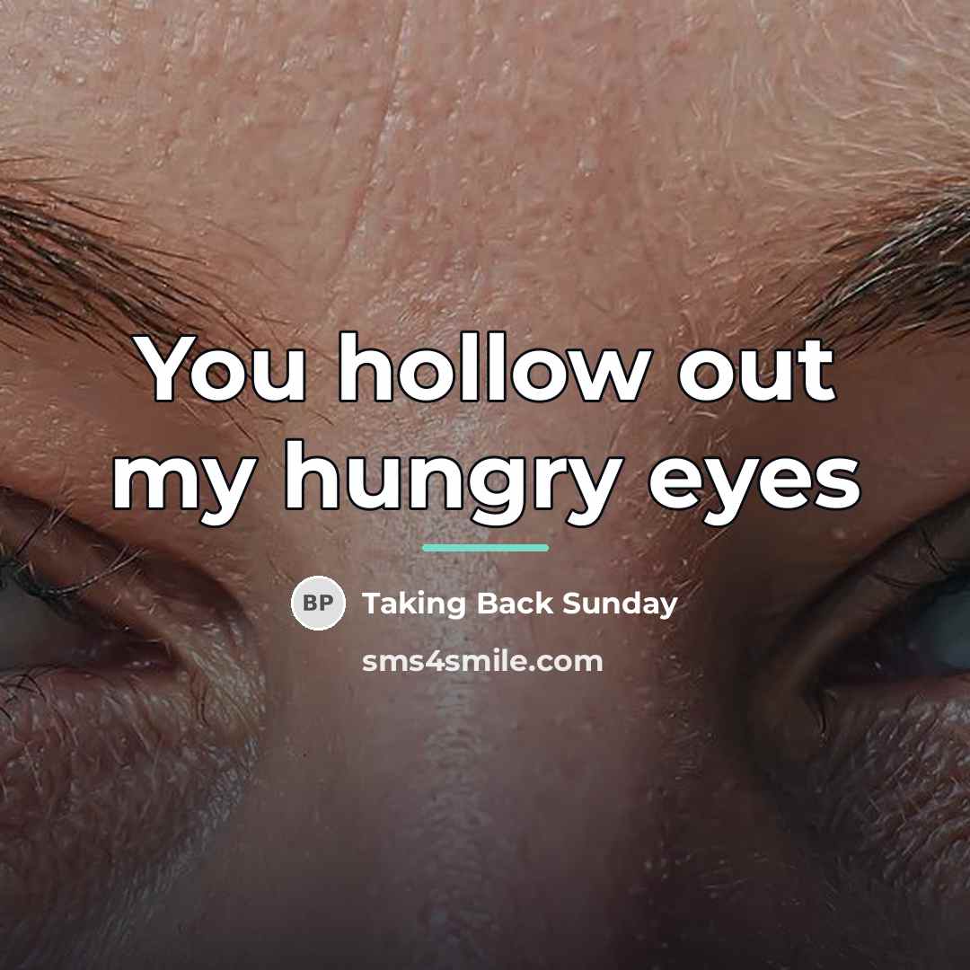“You hollow out my hungry eyes…” quote by Taking Back Sunday