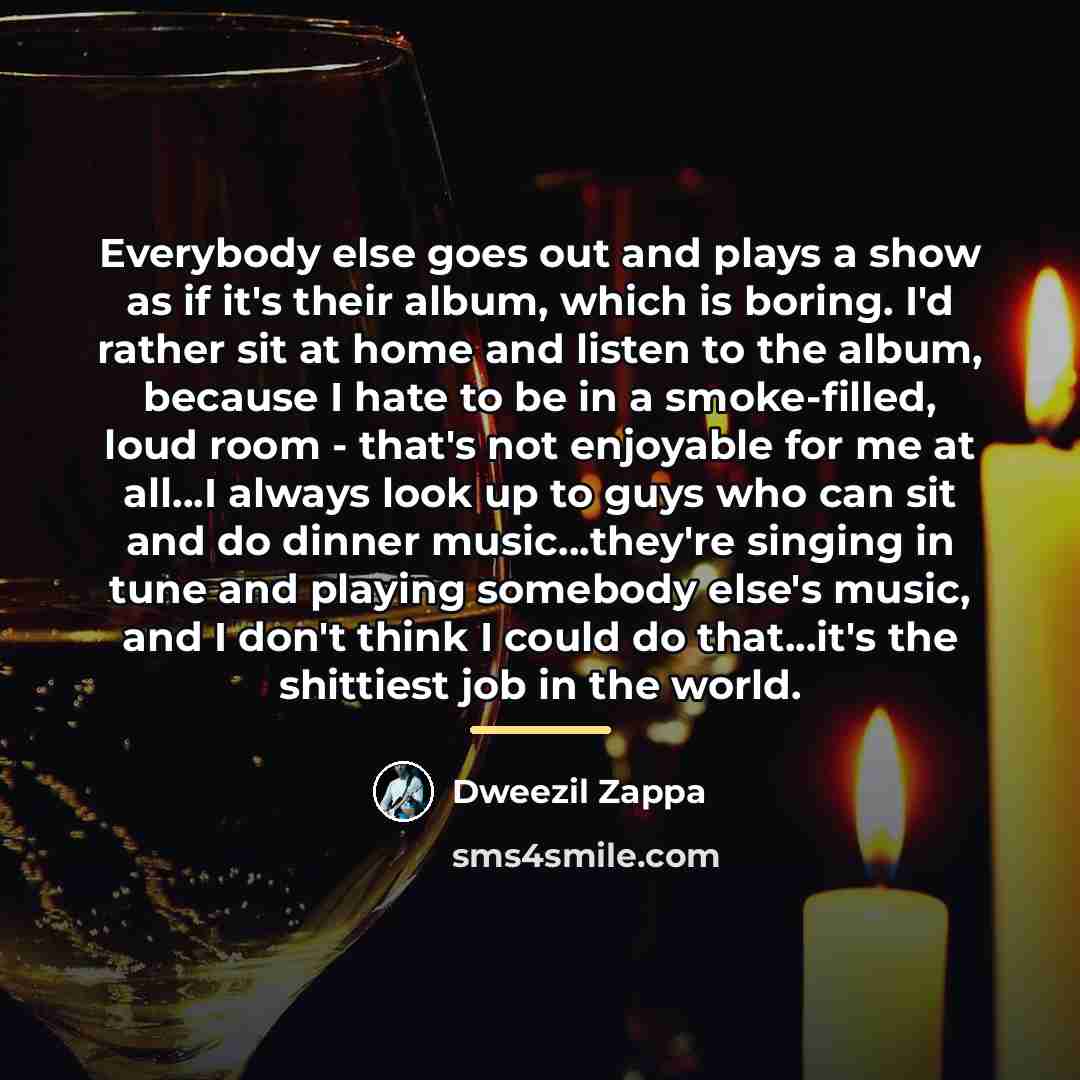 “Everybody else goes out and plays a show as if…” quote by Dweezil Zappa