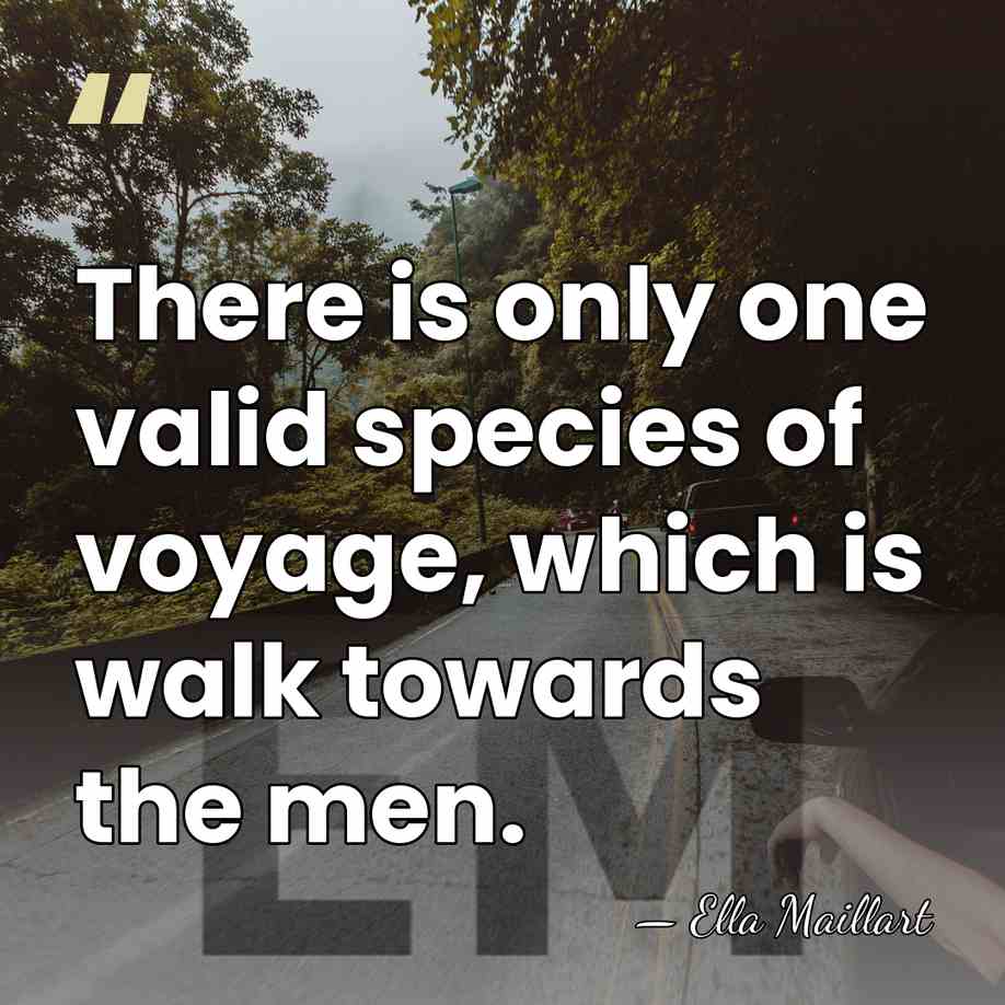 There is only one valid species of voyage, which is walk towards&hellip; - Ella Maillart