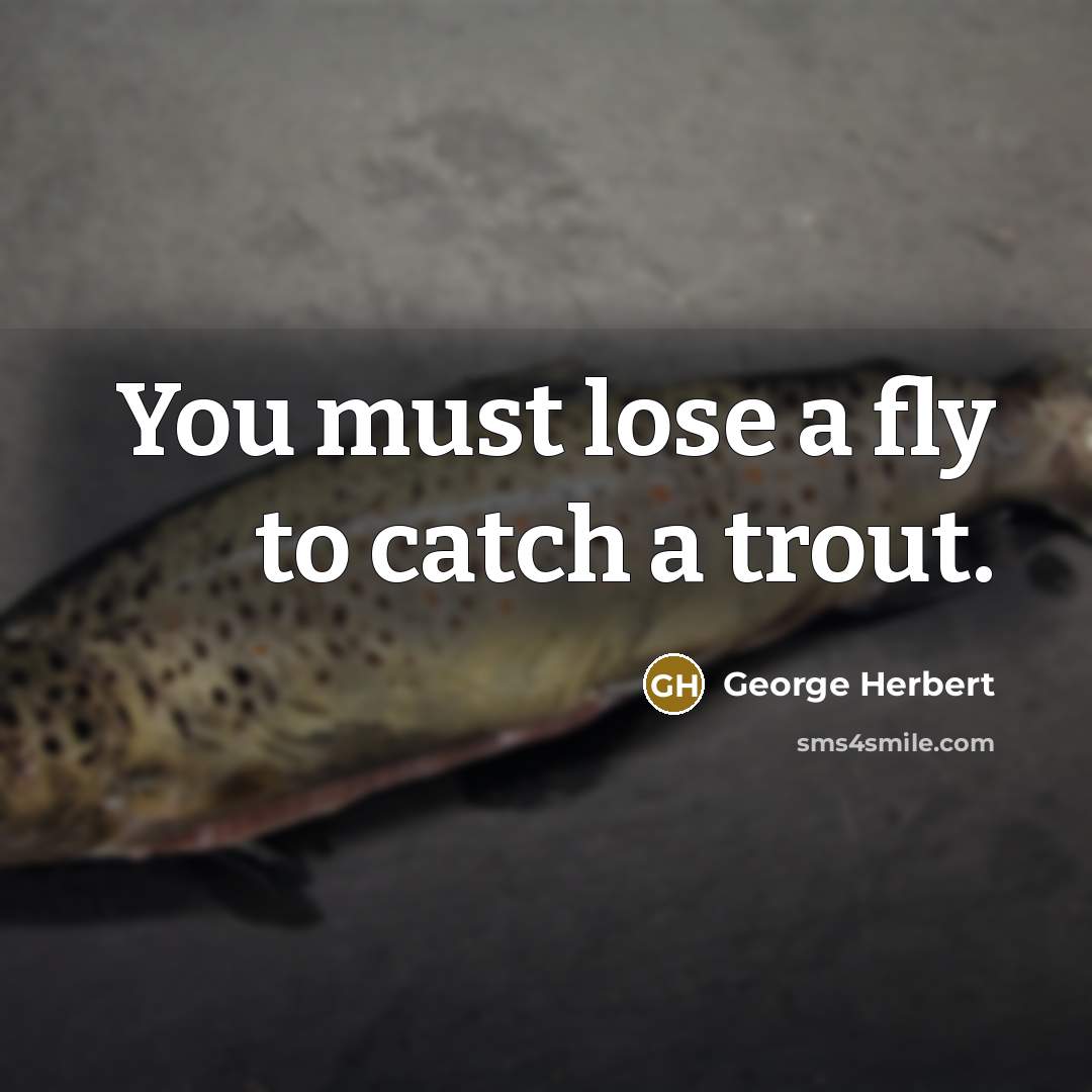 “You must lose a fly to catch a trout.…” quote by George Herbert