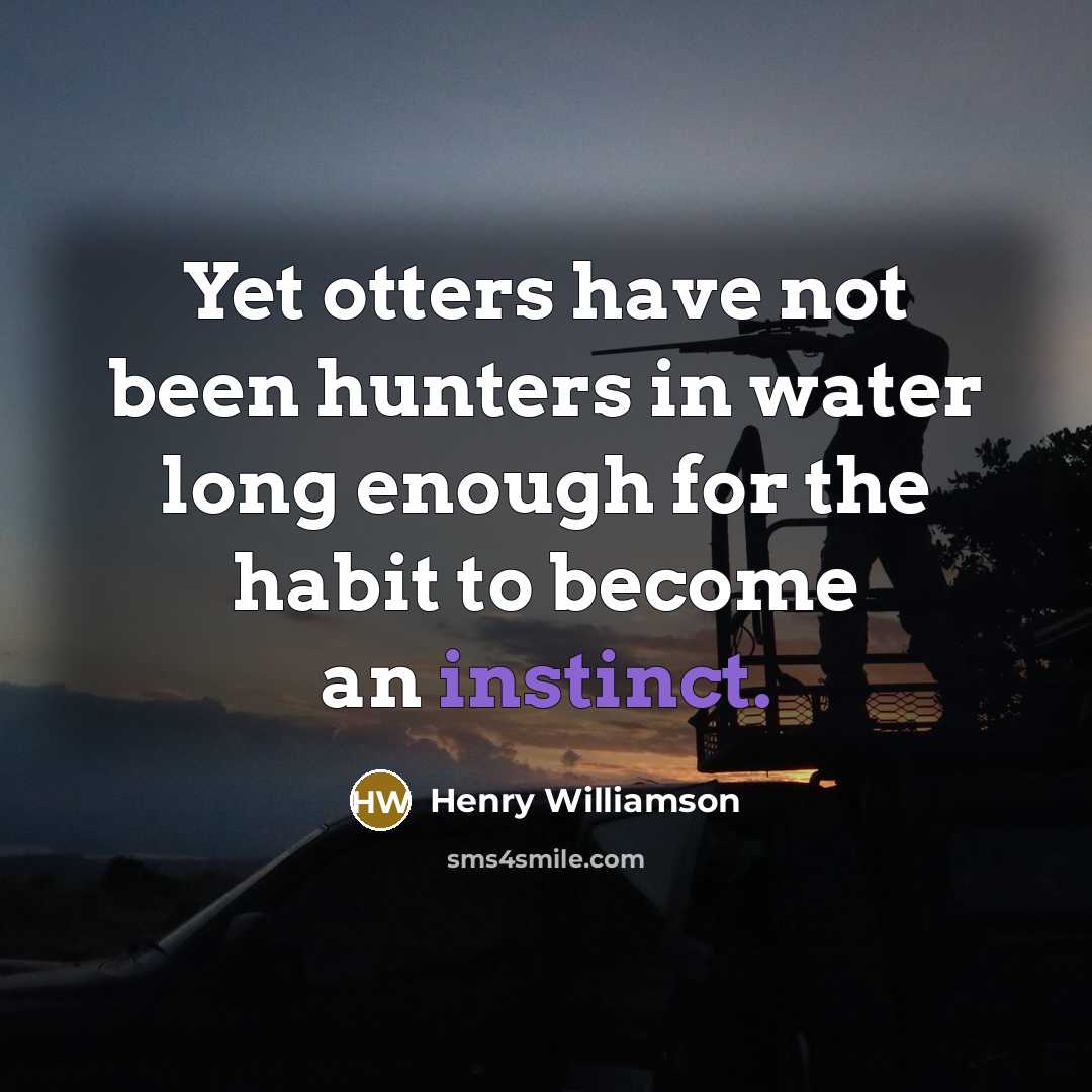 “Yet otters have not been hunters in water long enough…” quote by Henry Williamson