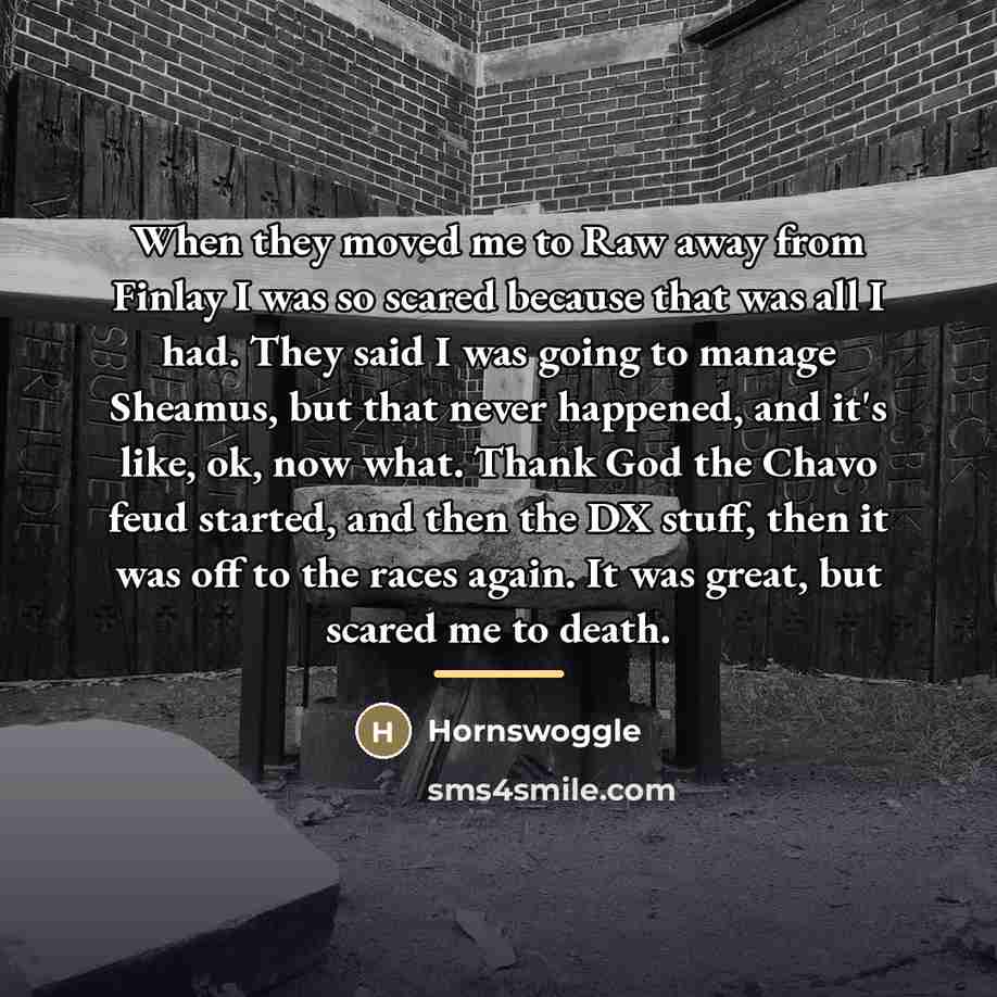 “When they moved me to Raw away from Finlay I…” quote by Hornswoggle
