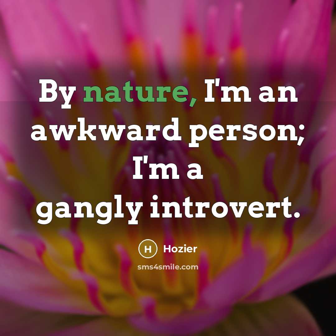 “By nature, I'm an awkward person; I'm a gangly introvert.…” quote by Hozier
