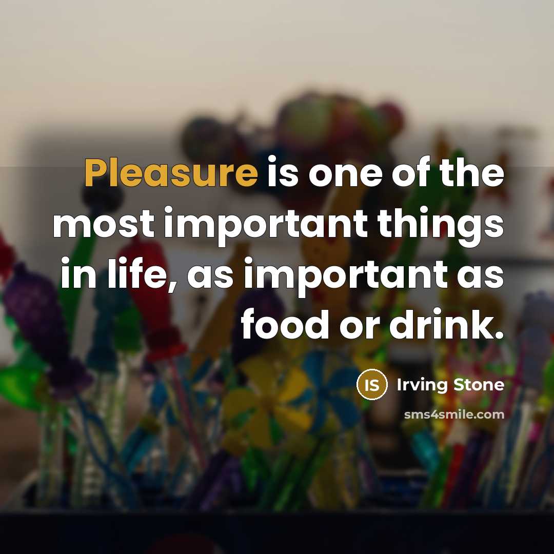 “Pleasure is one of the most important things in life,…” quote by Irving Stone