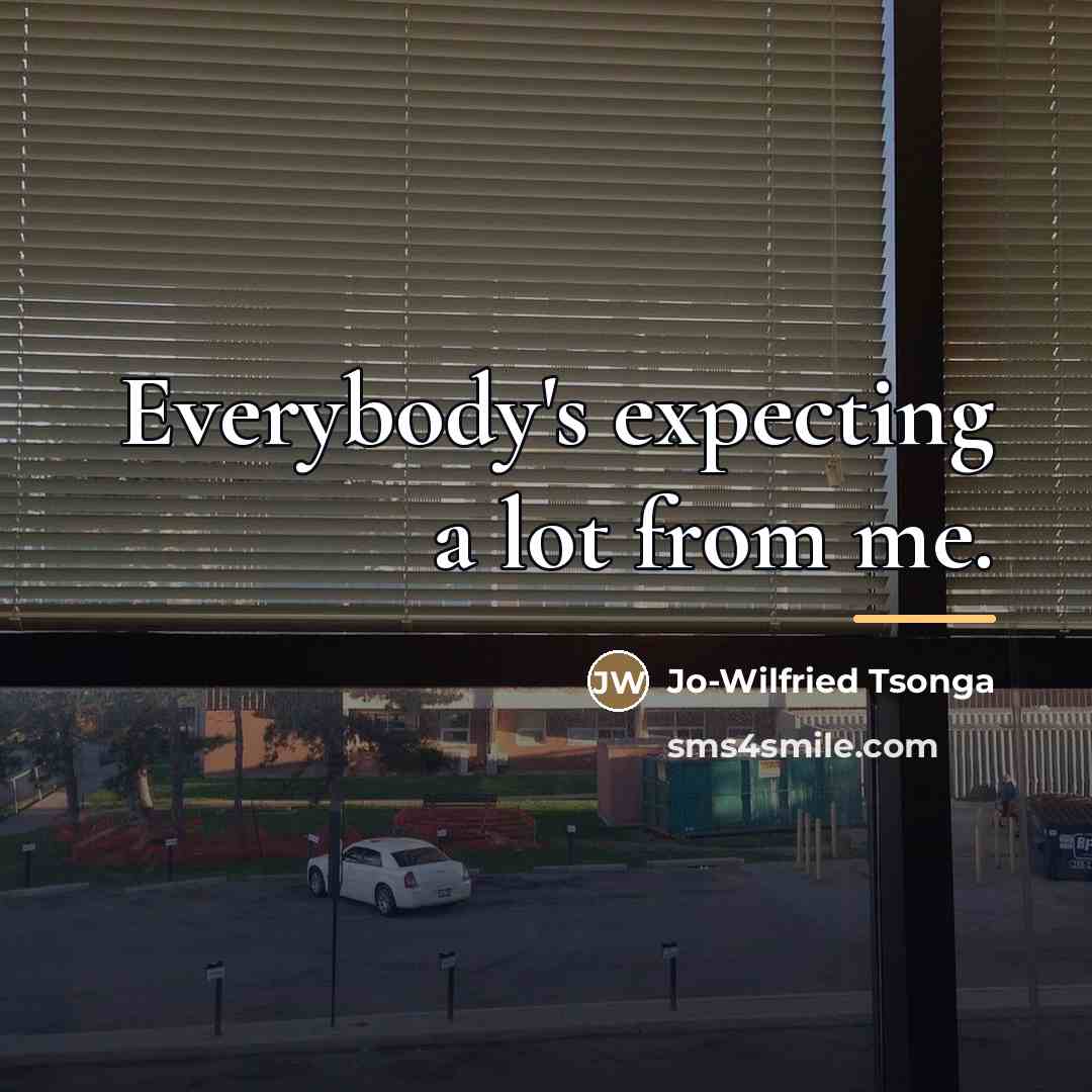 “Everybody's expecting a lot from me.…” quote by Jo-Wilfried Tsonga