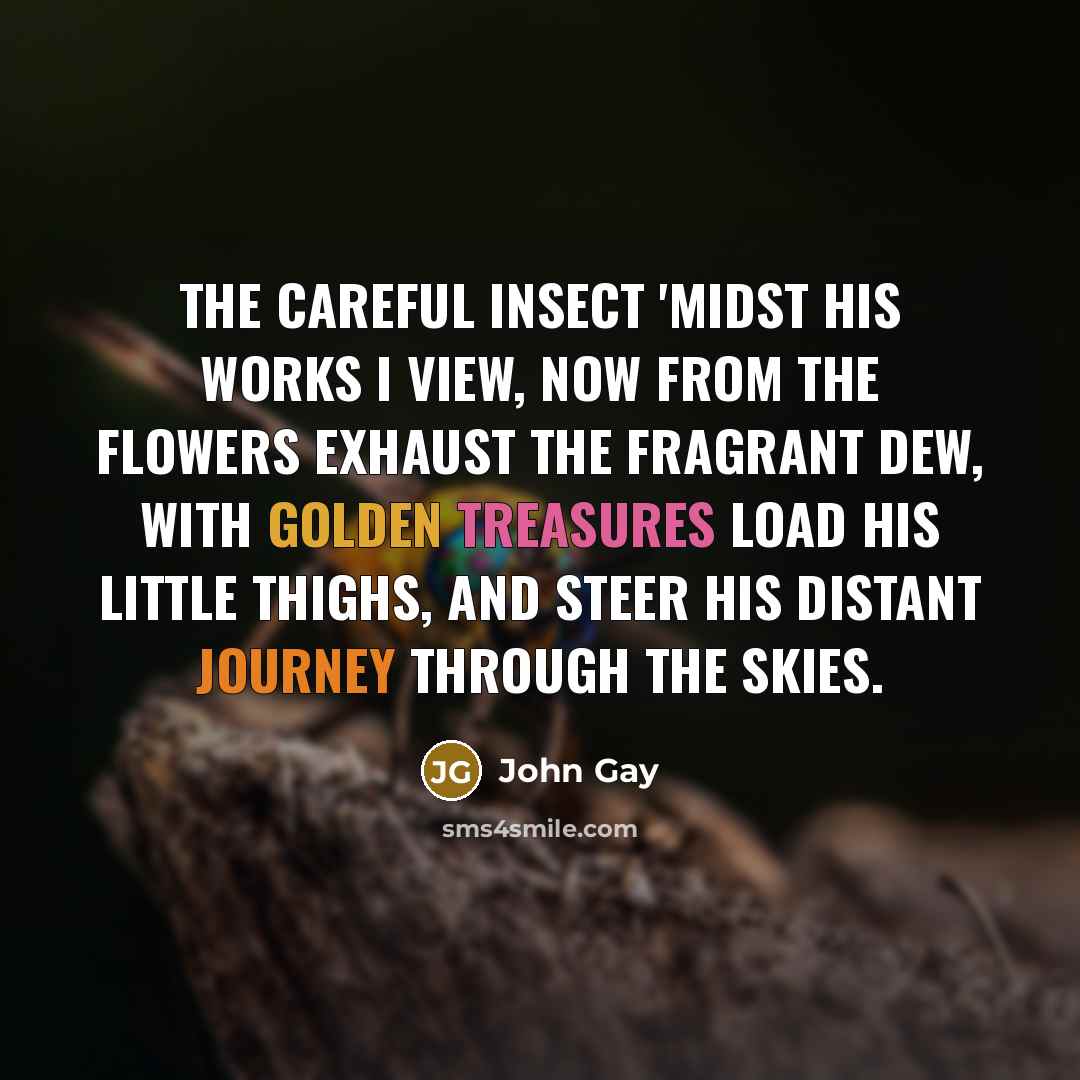 “The careful insect 'midst his works I view, Now from…” quote by John Gay