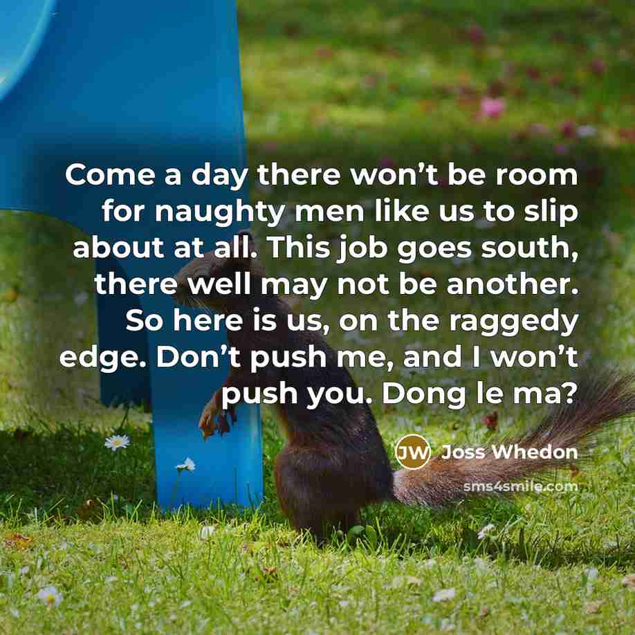 “Come a day there won’t be room for naughty men like us to slip about at all. This job goes south, there well may not be another. So here is us, on the raggedy edge. Don’t push me, and I won’t push you. Dong le ma?” quote by Joss Whedon