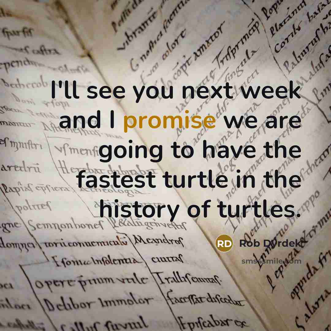“I'll see you next week and I promise we are…” quote by Rob Dyrdek