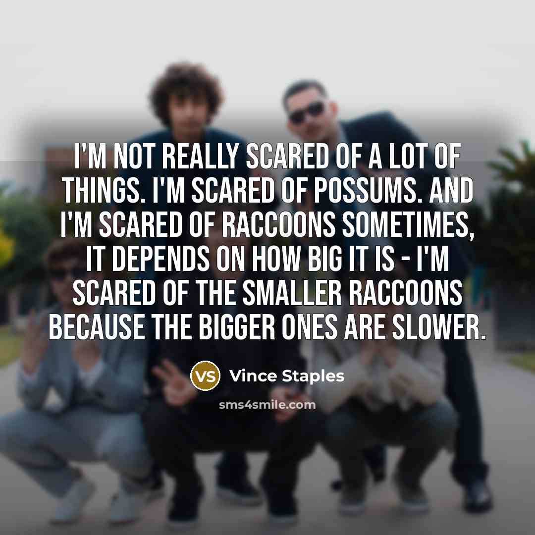 “I'm not really scared of a lot of things. I'm…” quote by Vince Staples