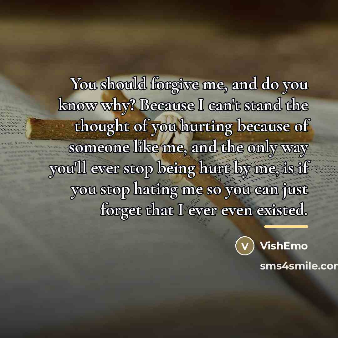 “You should forgive me, and do you know why? Because…” quote by VishEmo