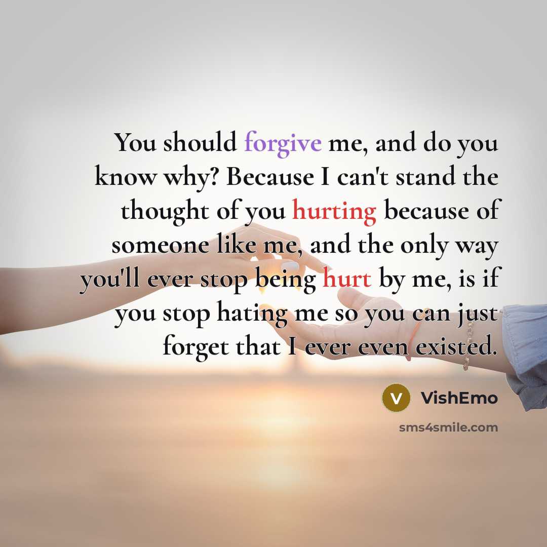 “You should forgive me, and do you know why? Because I can't stand the thought of you hurting because of someone like me, and the only way you'll ever stop being hurt by me, is if you stop hating me so you can just forget that I ever even existed.” quote by VishEmo