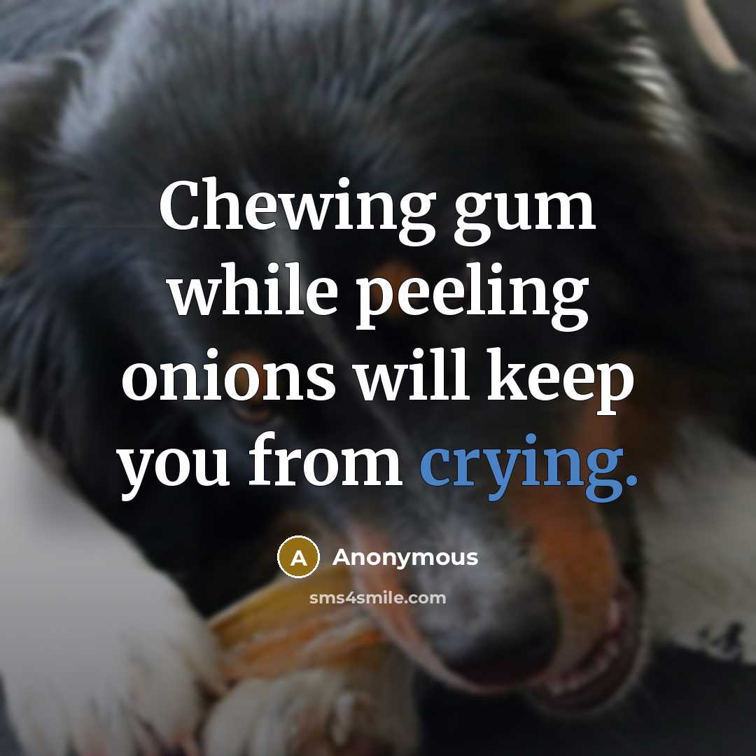 “Chewing gum while peeling onions will keep you from crying.” quote by Anonymous