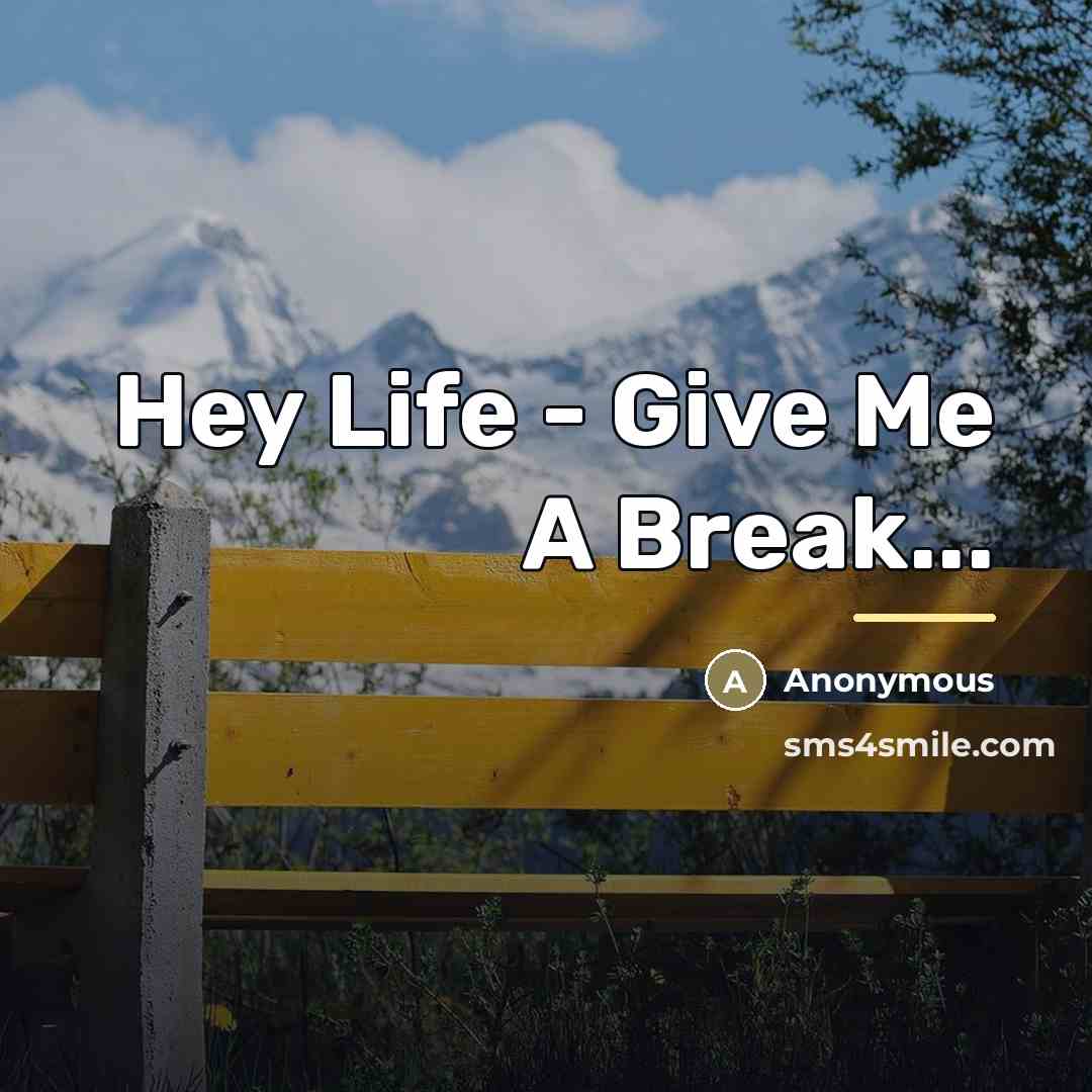 “Hey Life - Give Me A Break...…” quote by Anonymous