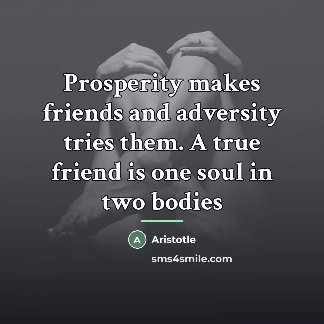 “Prosperity makes friends and adversity tries them. A true friend…” quote by Aristotle