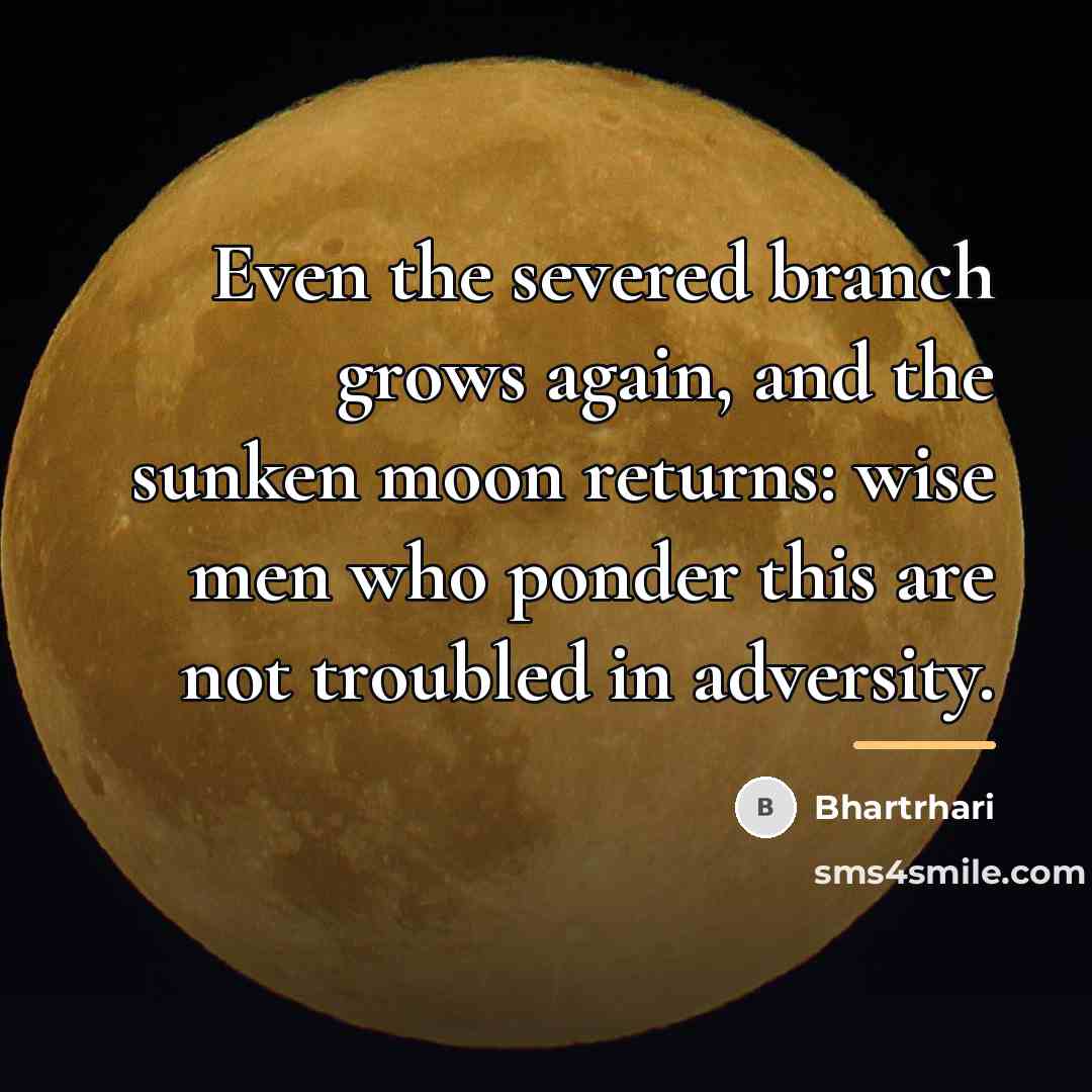 “Even the severed branch grows again, and the sunken moon…” quote by Bhartrhari