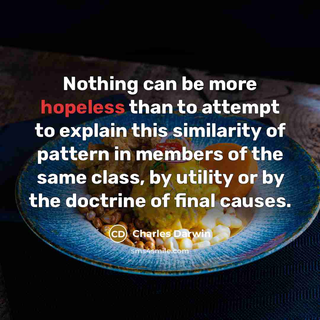 “Nothing can be more hopeless than to attempt to explain…” quote by Charles Darwin