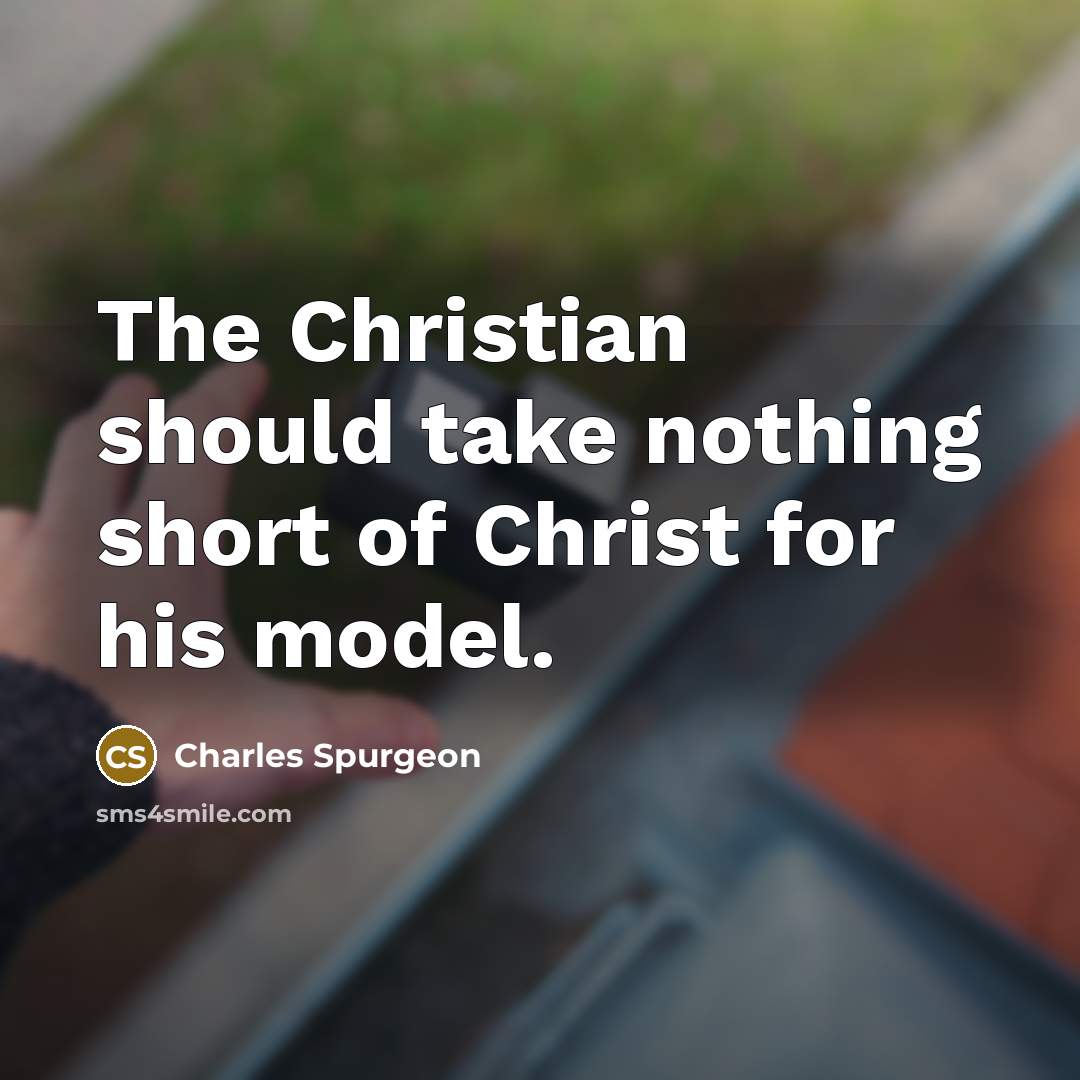 “The Christian should take nothing short of Christ for his…” quote by Charles Spurgeon
