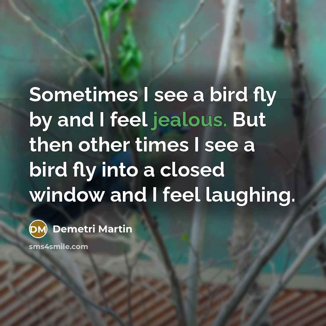 “Sometimes I see a bird fly by and I feel…” quote by Demetri Martin