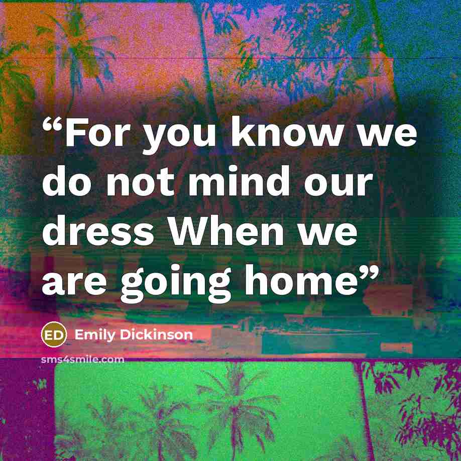 “For you know we do not mind our dress When we are going home” quote by Emily Dickinson